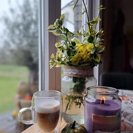 Domecek Sara Holiday home Mohelnice