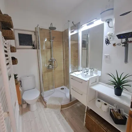 Domecek Sara מוהלניצה