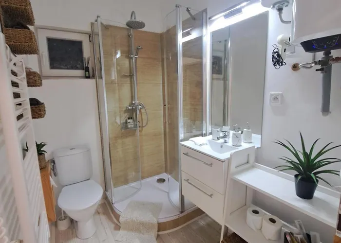 Domecek Sara מוהלניצה